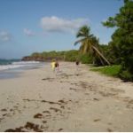 Ile de la Martinique