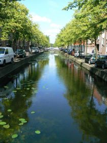Delft