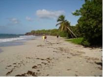 Ile de la Martinique