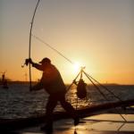 Secteur de la pêche