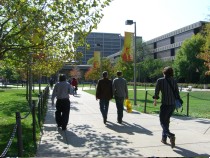 Université de l'Illinois